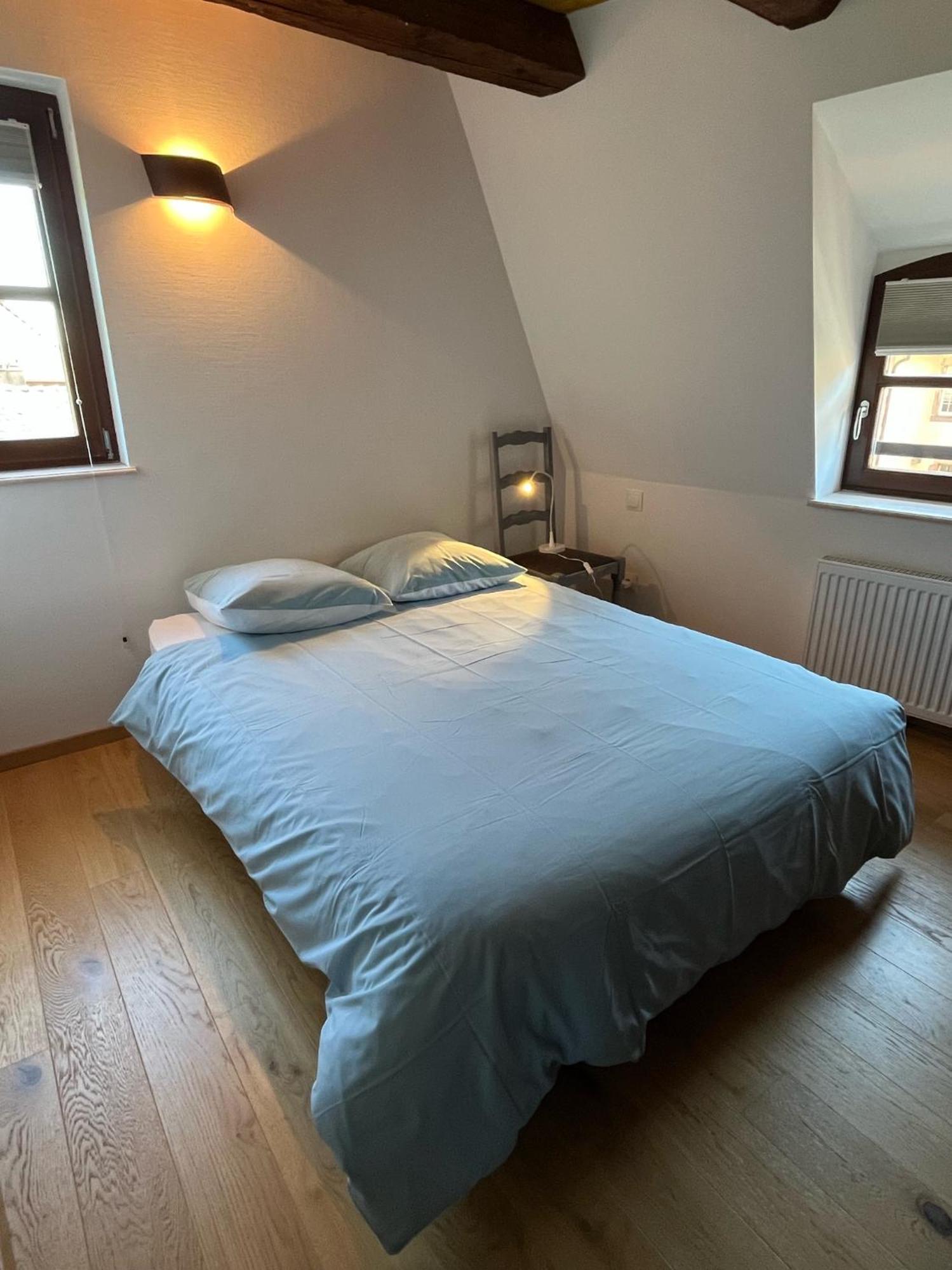 Domaine La Cour Des Nobles - Demeure, Maison Et Appartements Au Coeur De Riquewihr Dış mekan fotoğraf