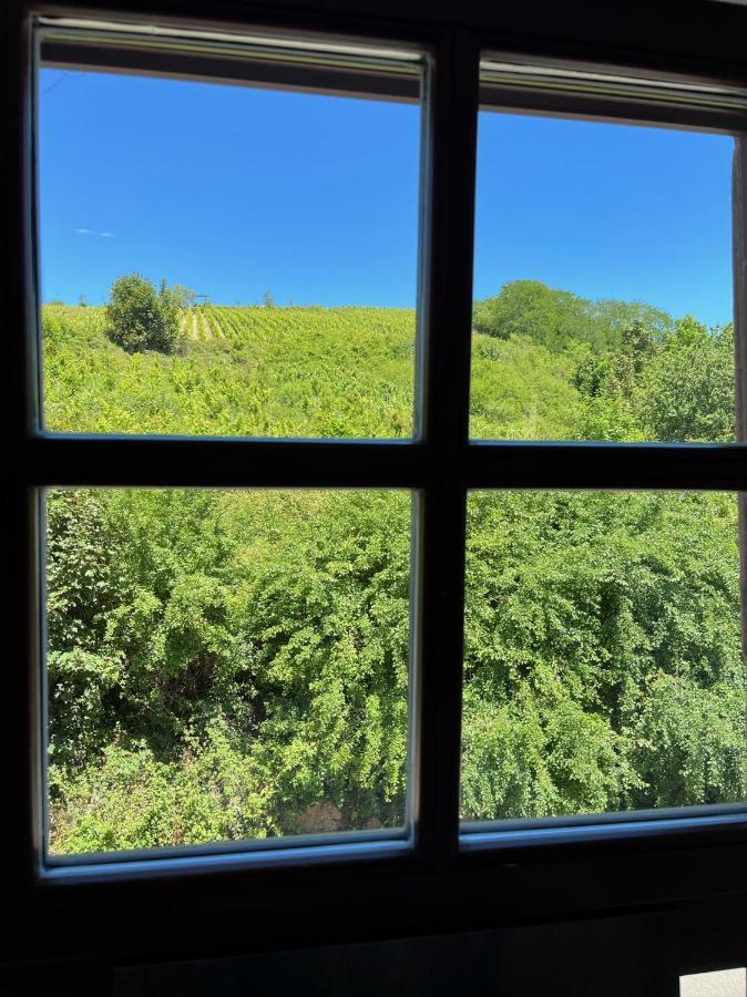 Domaine La Cour Des Nobles - Demeure, Maison Et Appartements Au Coeur De Riquewihr Dış mekan fotoğraf