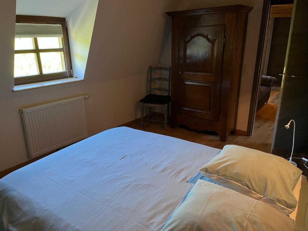 Domaine La Cour Des Nobles - Demeure, Maison Et Appartements Au Coeur De Riquewihr Dış mekan fotoğraf