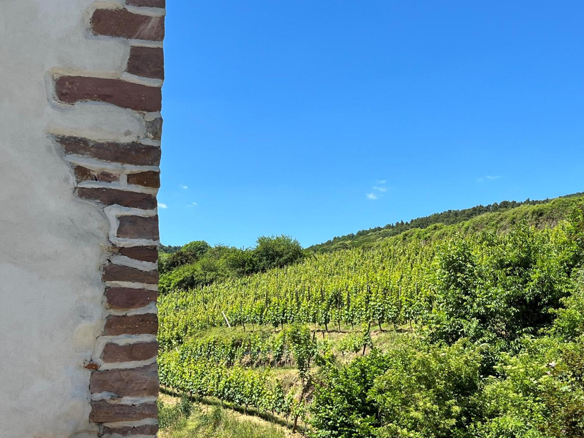 Domaine La Cour Des Nobles - Demeure, Maison Et Appartements Au Coeur De Riquewihr Dış mekan fotoğraf