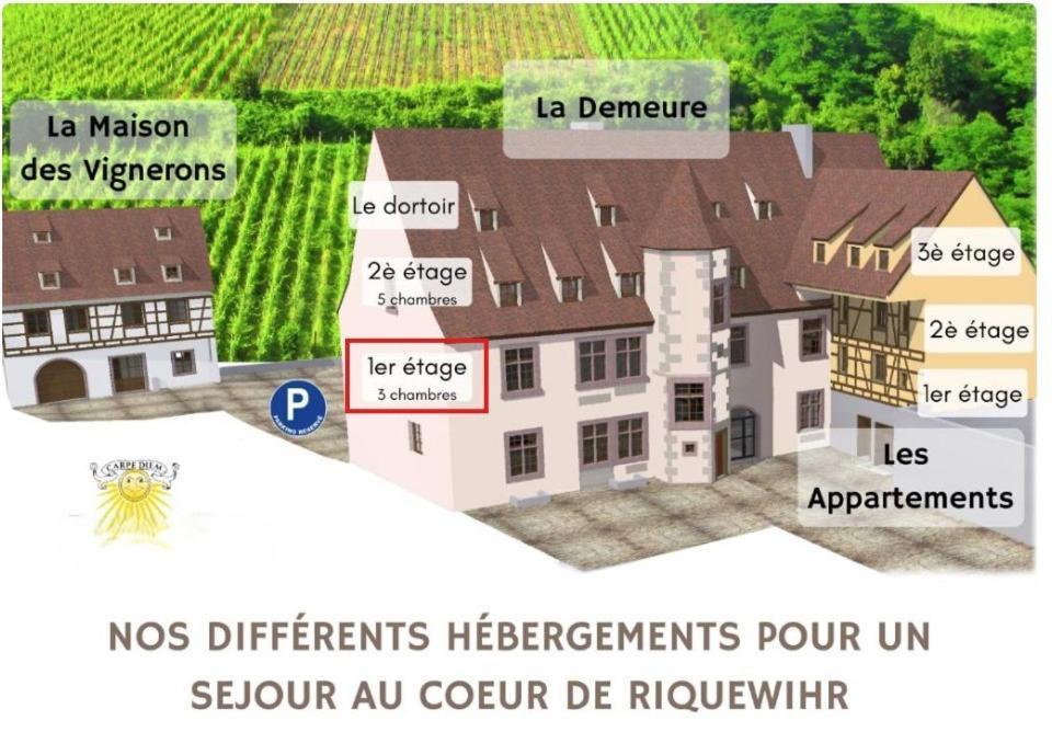 Domaine La Cour Des Nobles - Demeure, Maison Et Appartements Au Coeur De Riquewihr Oda fotoğraf